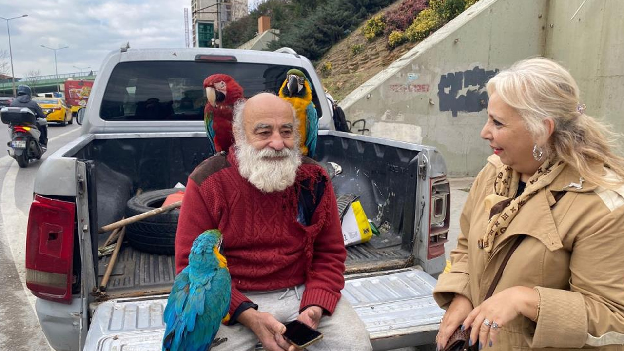 Foto - Gün boyu şehri geziyor! İstanbul'un 'papağan amcası' ilgi odağı oldu