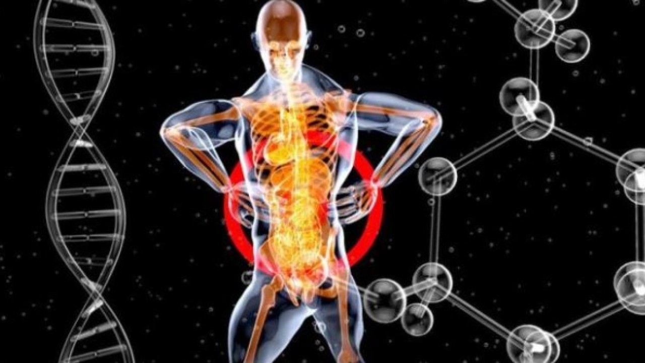 Foto - Gün geçtikçe böbreklerimizi bitiyor! İşte farkında olmadan yaptığımız yanlışlar