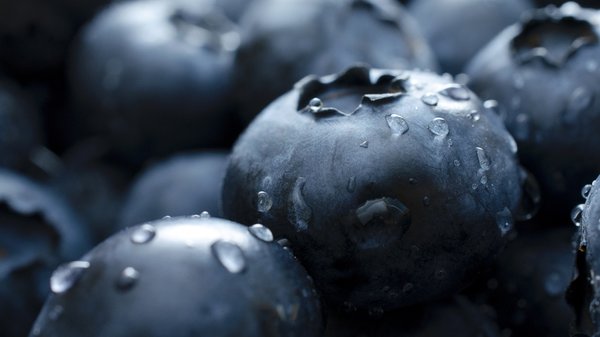Foto - Günde 1 avuç beyni çelik gibi yapıyor! Hafızayı keskinleştiriyor...