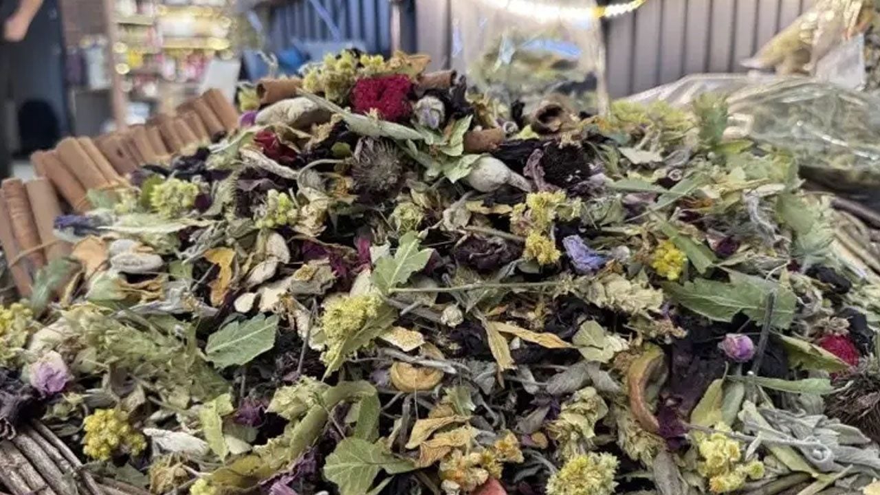 Foto - Günde 1 bardak içen kışın hastalanmıyor: Tek bir ot enfeksiyonu bıçak gibi kesiyor!