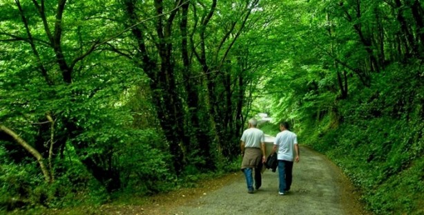 Foto - Günde 1 saat yürürseniz...