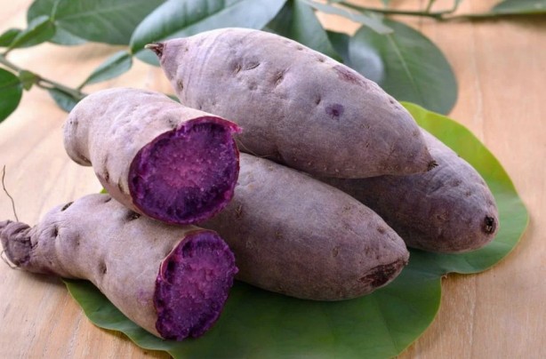 Günde 1 tane tüketmeniz yeter! İşte Japonların sağlıklı yaşam sırrı