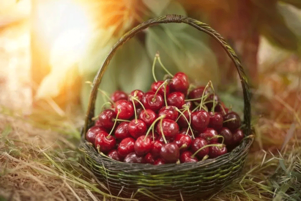 Foto - Günde 2 bardağı kalp krizi riskini sıfırlıyor! Damarlardaki tıkanıklığı açıyor