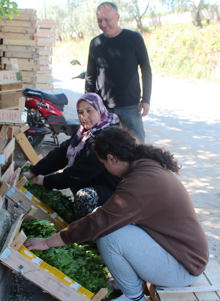 Foto - Günde 20 kilo bile toplayan var | Bırakın kendisini yapağı bile para basıyor