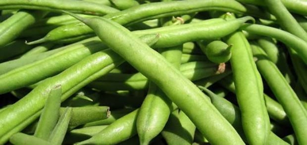 Foto - Günde 3 diş sarımsak yerseniz...