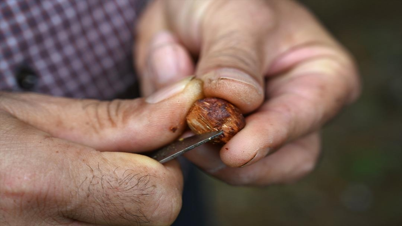 Foto - Günde 5 tane üretip internetten satıyor! Millet, çılgınlar gibi talep gösteriyor