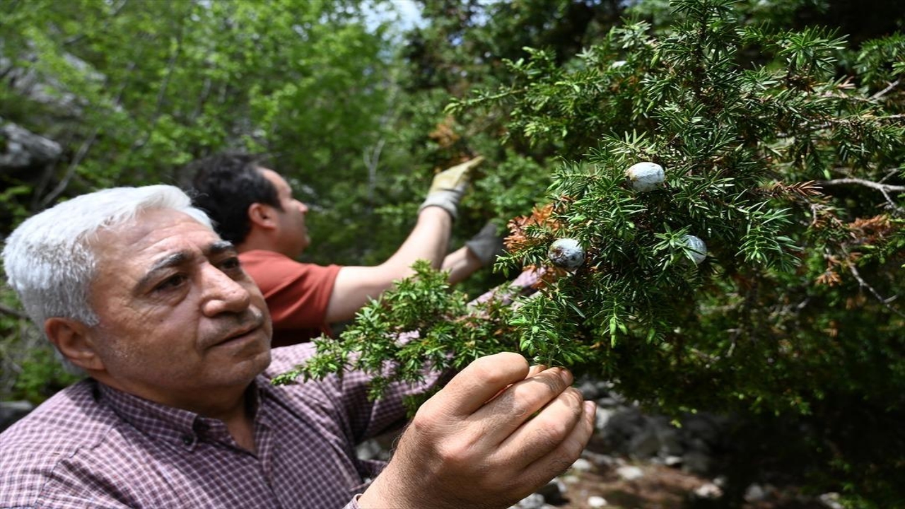 Foto - Günde 5 tane üretip internetten satıyor! Millet, çılgınlar gibi talep gösteriyor