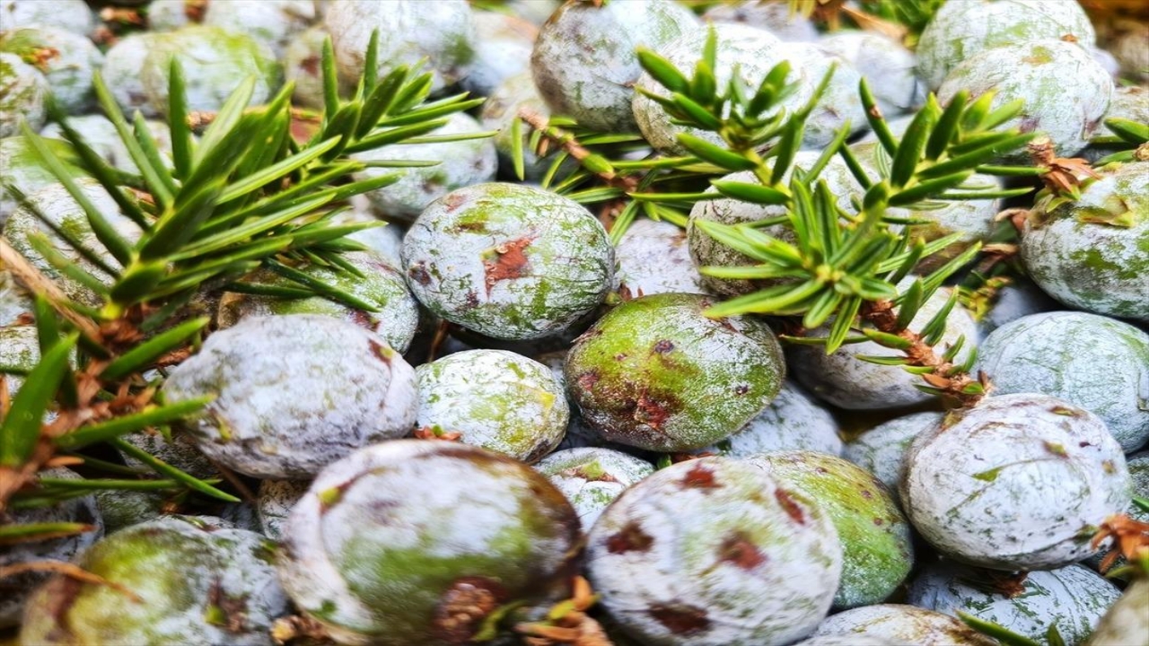 Foto - Günde 5 tane üretip internetten satıyor! Millet, çılgınlar gibi talep gösteriyor