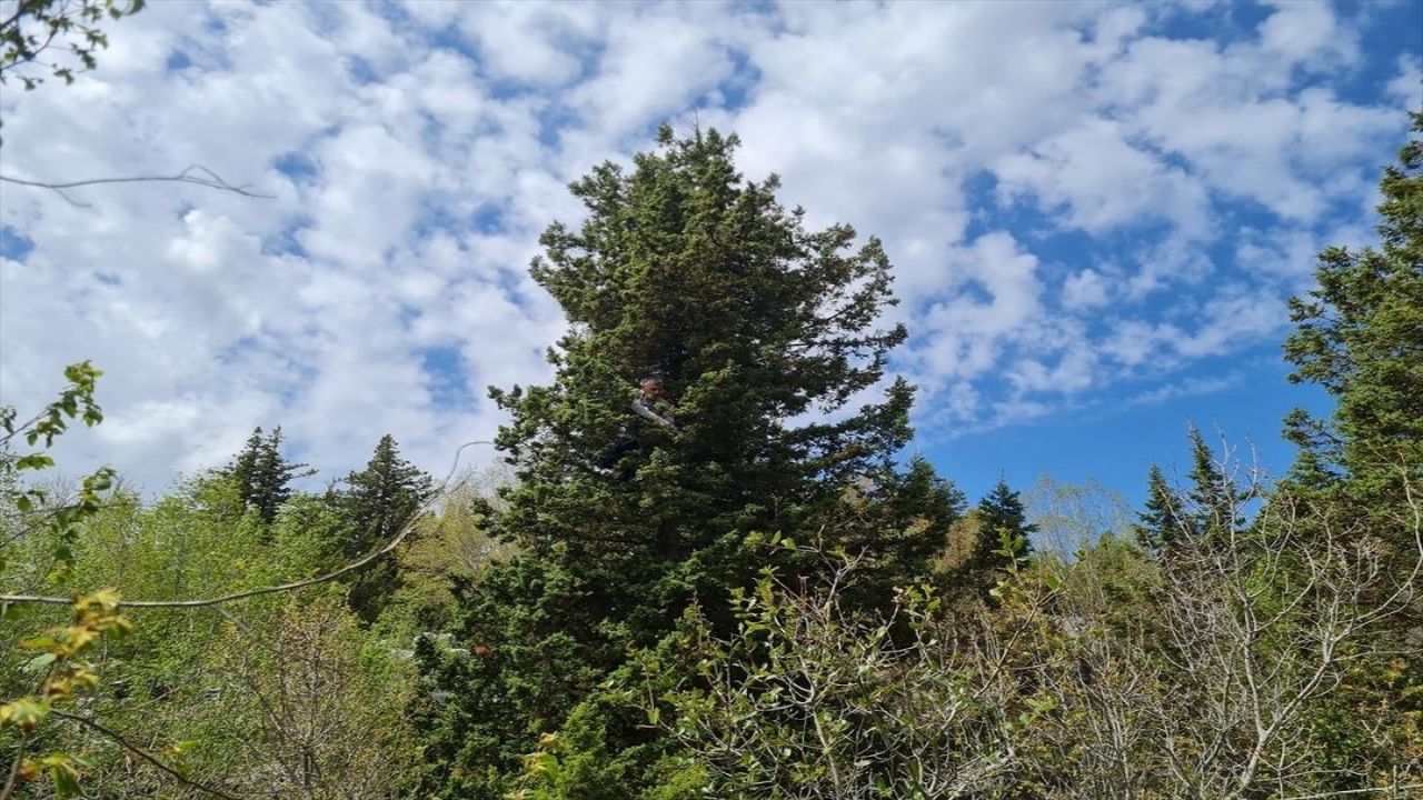 Foto - Günde 5 tane üretip internetten satıyor! Millet, çılgınlar gibi talep gösteriyor