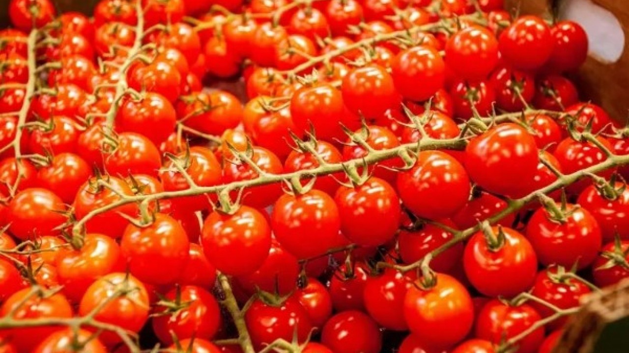 Foto - Günde bir bardak için: Kanser riskini azalttığı ortaya çıktı!
