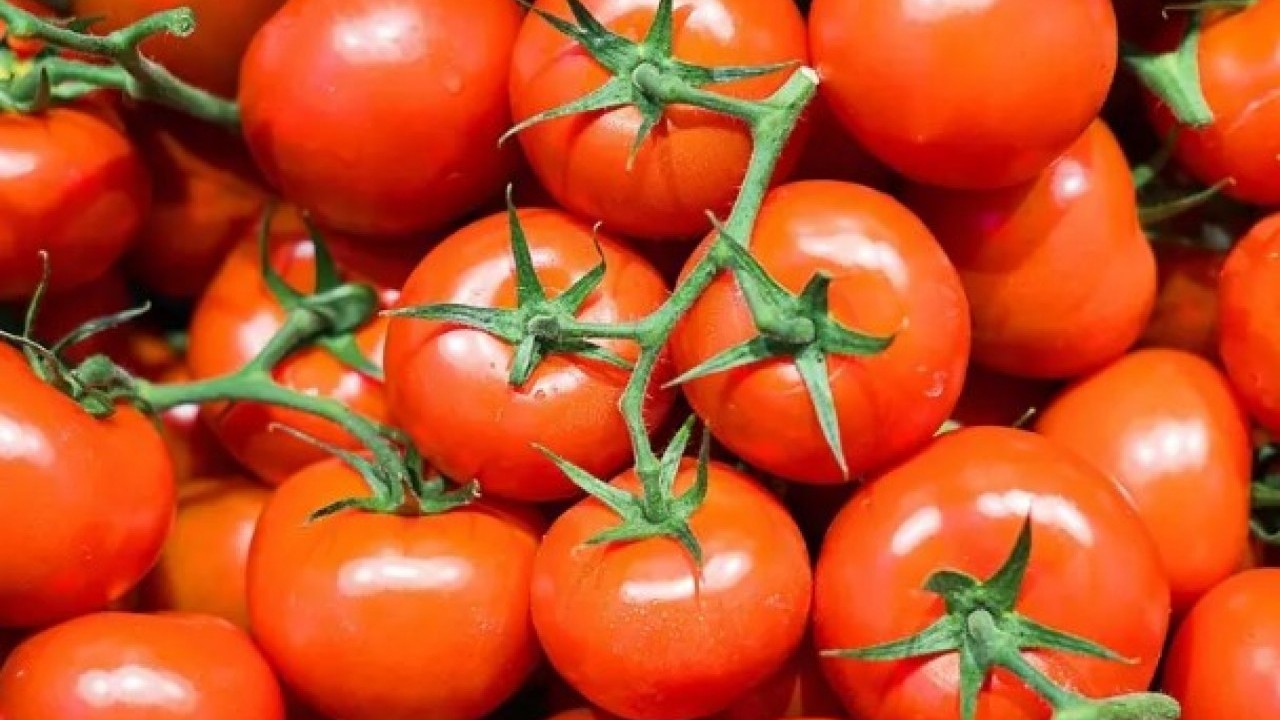 Foto - Günde bir bardak için: Kanser riskini azalttığı ortaya çıktı!