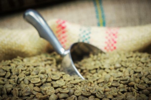 Foto - Günde iki fincan yeşil kahve içerseniz...