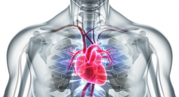 Foto - Günde kaç litre su içmeliyiz? İşte kilonuza göre içmeniz gereken miktar