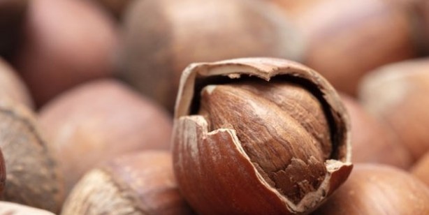 Foto - Günde sadece 1 avuç ceviz! Doğal damar açıcı görevi görüyor! Kuruyemişler meğer o hastalığın dermanıymış