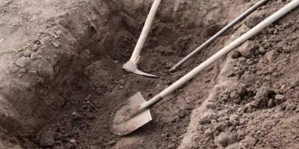 Foto - Gündelikçi olarak tarlada çalışıyordu, başına talih kuşu kondu! Tırmığına takılanı görünce şok oldu: 5 tane birden buldu