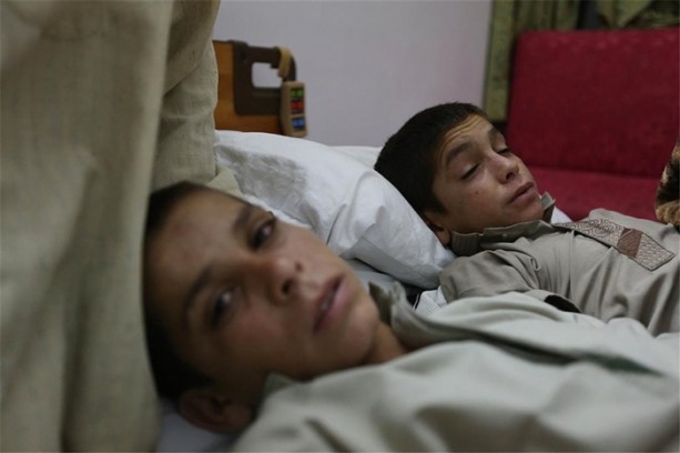 Foto - Güneş batınca bitkisel hayata giriyorlar!