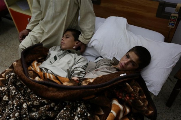 Foto - Güneş batınca bitkisel hayata giriyorlar!