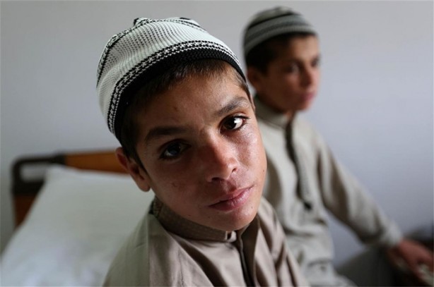 Güneş batınca bitkisel hayata giriyorlar!