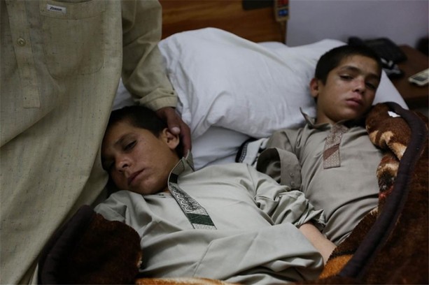 Foto - Güneş batınca bitkisel hayata giriyorlar!