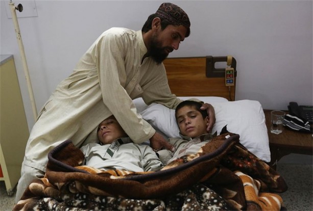 Foto - Güneş batınca bitkisel hayata giriyorlar!