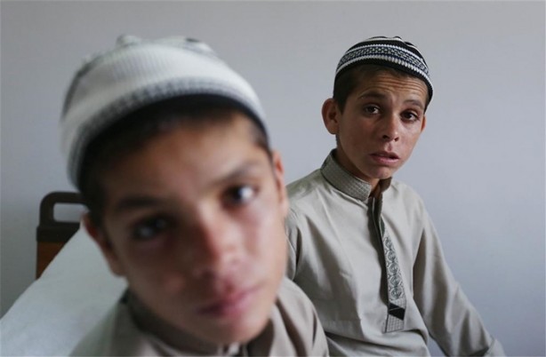 Foto - Güneş batınca bitkisel hayata giriyorlar!