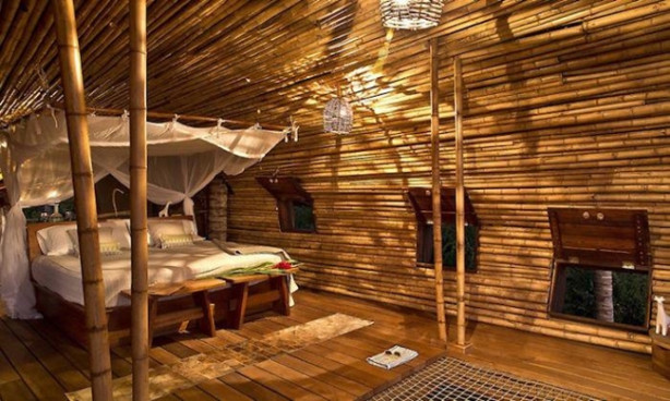 Foto - Güneş enerjili ağaç evler 'Playa Viva'