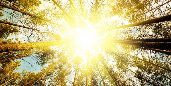 Foto - Güneşe çıkmadan önce iki kez düşünün