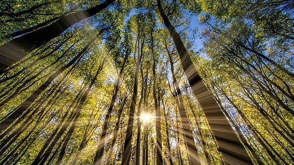 Foto - Güneşe çıkmadan önce iki kez düşünün