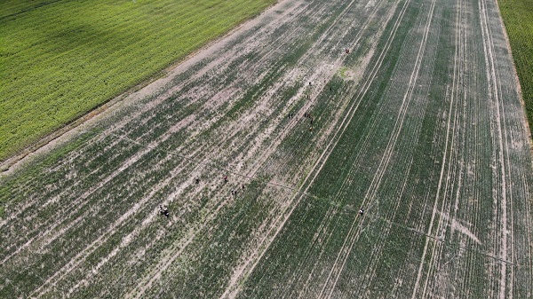 Foto - Güneşin altında ekmek mücadelesi