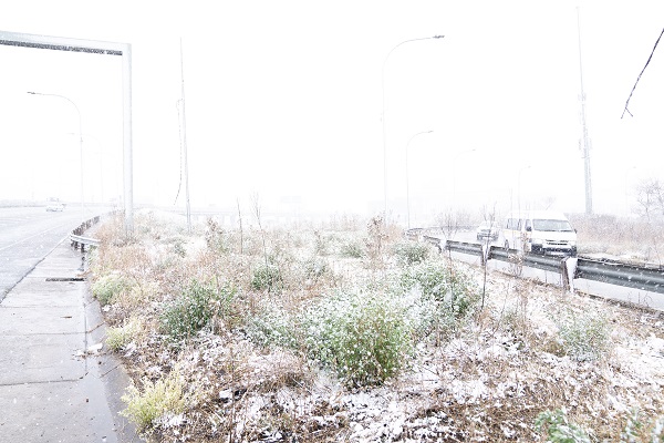 Foto - Güney Afrika beyaza büründü