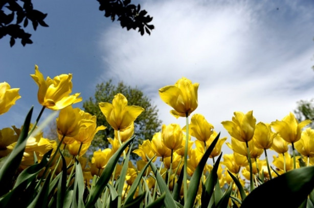 Foto - Güney Amerika'dan Bursa'ya geldiler! 