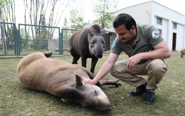 Foto - Güney Amerika'dan Bursa'ya geldiler! 