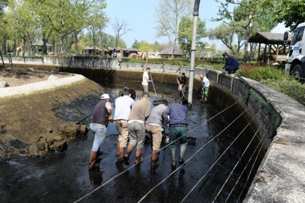 Foto - Güney Amerika'dan Bursa'ya geldiler! 
