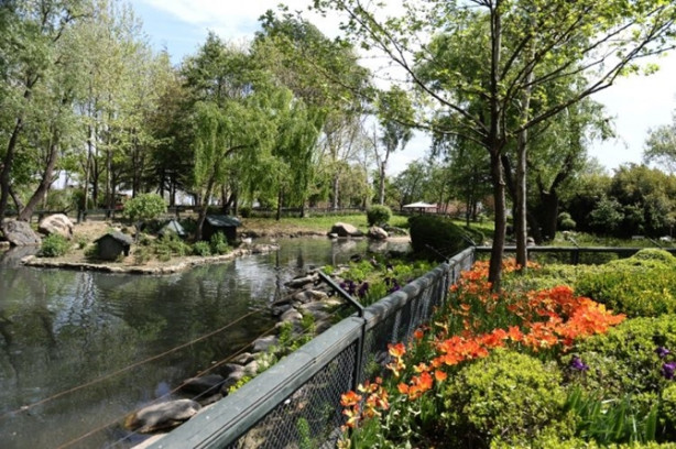 Foto - Güney Amerika'dan Bursa'ya geldiler! 