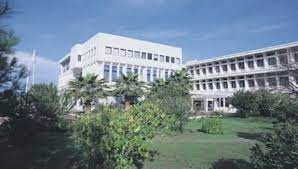 Foto - Güney Kıbrıs şokta! Haber yapan basın yazdı: 7 bin ton hellimin üretiminde süt tozu kullanıldı! Skandal sözler