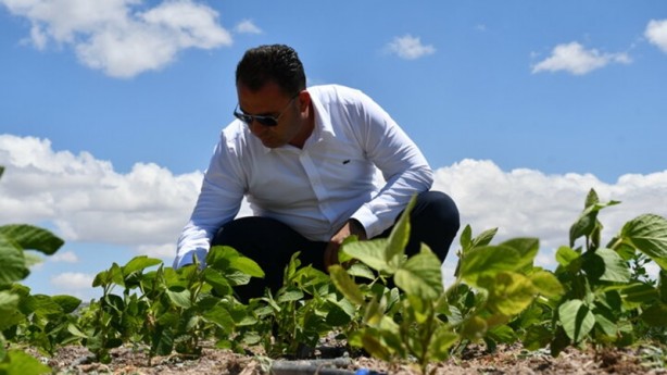 Foto - Güney Kore'den getirildi! İthalatı azaltıp kazancı katlayacak