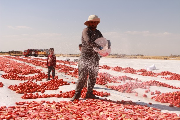 Foto - Günler süren emek! Di̇yarbakır’da yeti̇şi̇yor kapış kapış gi̇di̇yor