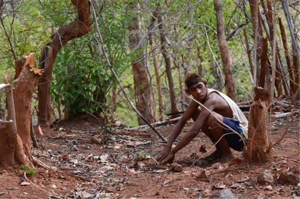 Foto - Günlerce ormanda kalıp, hayvanları taklit ediyorlar!