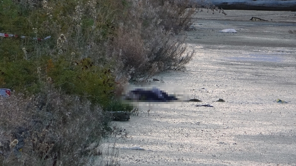 Foto - Günlerdir kayıp olan Alzheimer hastasından acı haber