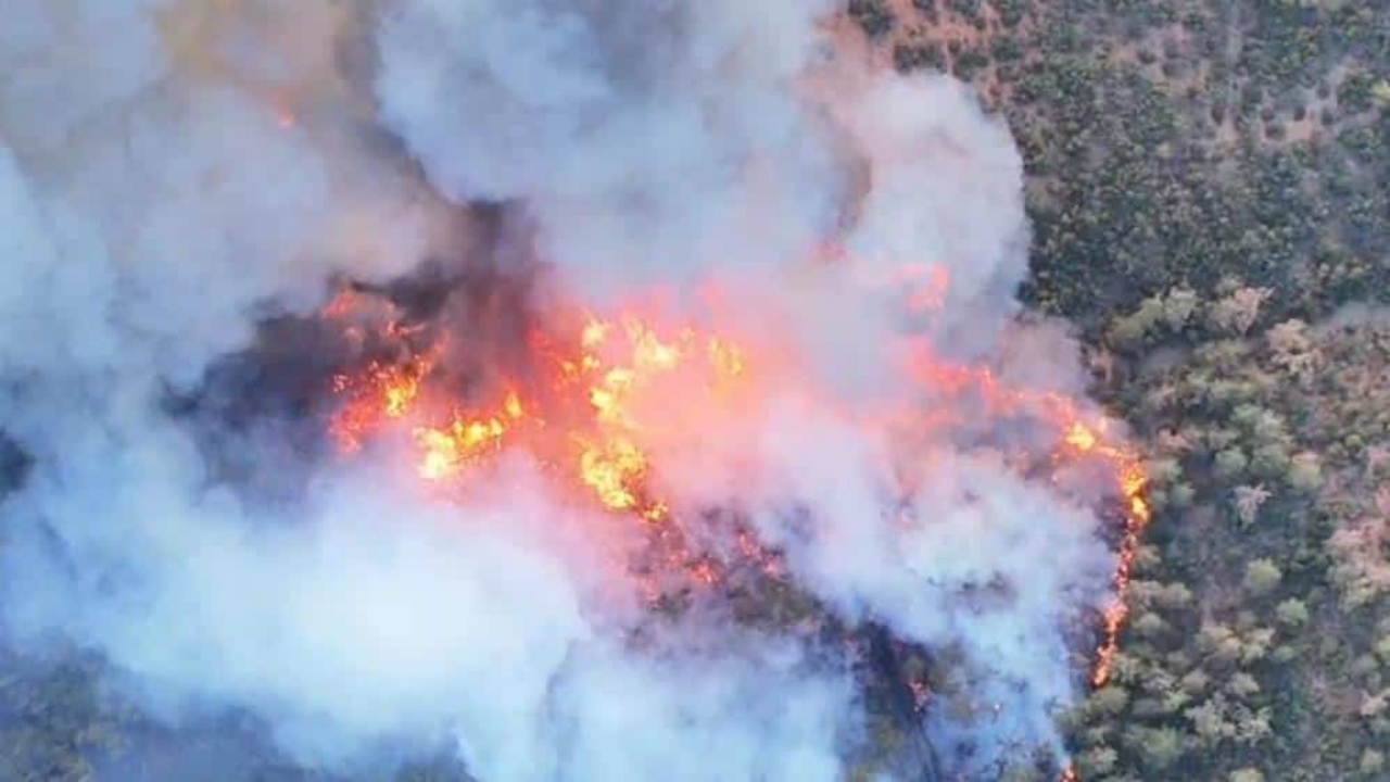 Foto - Günlerdir süren orman yangınlarında sevindiren gelişme! Allahım şükürler olsun