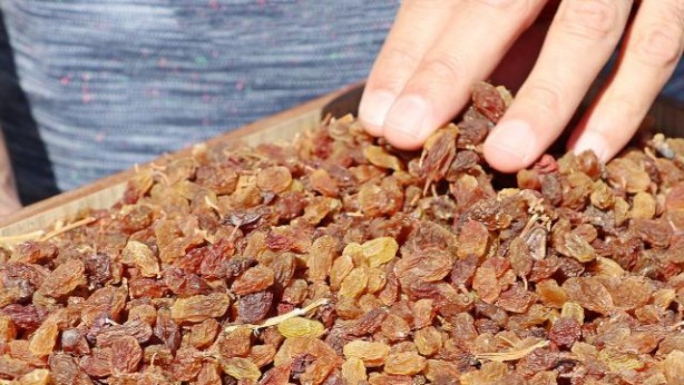 Foto - Günlük 21 adet kuru üzüm yemenin 13 muhteşem faydası