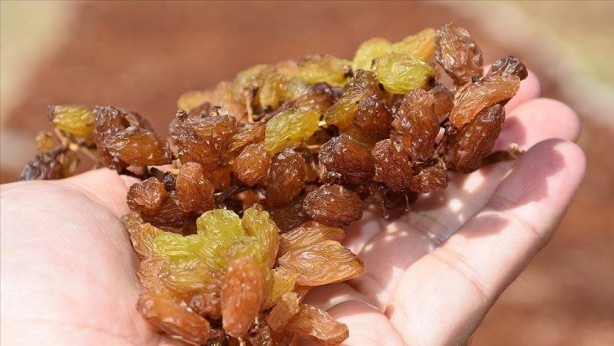Foto - Günlük 21 adet kuru üzüm yemenin 13 muhteşem faydası