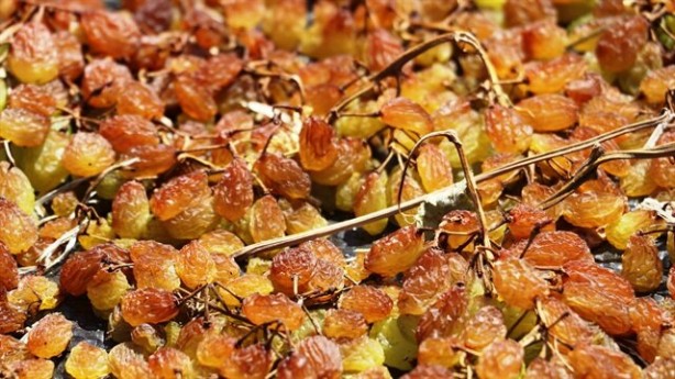 Foto - Günlük 21 adet kuru üzüm yemenin 13 muhteşem faydası