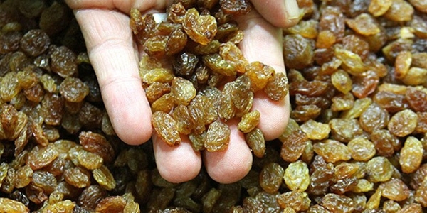 Foto - Günlük 21 adet kuru üzüm yemenin 13 muhteşem faydası