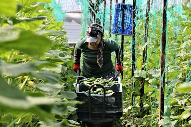 Foto - Günlük 666 liraya çalışacak eleman bulamıyor! Artık ne yapacağını şaşırdı