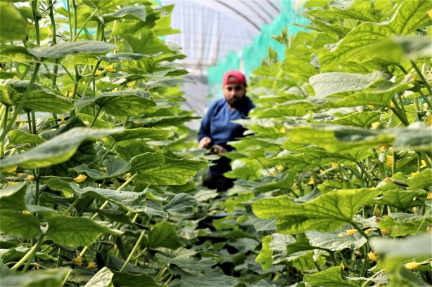 Foto - Günlük 666 liraya çalışacak eleman bulamıyor! Artık ne yapacağını şaşırdı