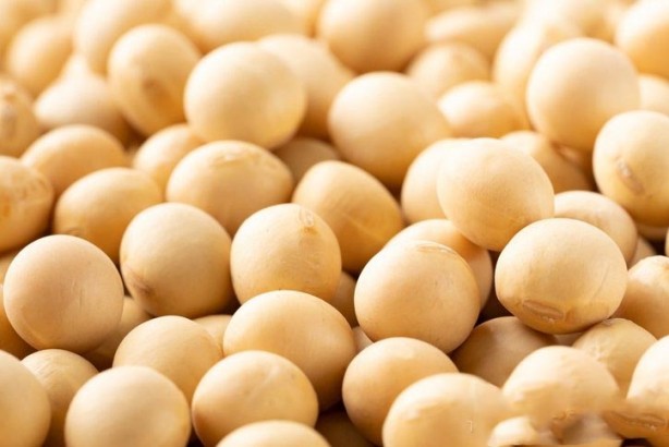 Foto - Günlük ihtiyaç duyulan B12 vitamin ihtiyacını %570 karşılıyor! 1 kez tüketmeniz yetiyor