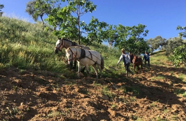 Foto - Günlük kazancı dudak uçuklattı! Gençler beğenmiyor ama para basıyor
