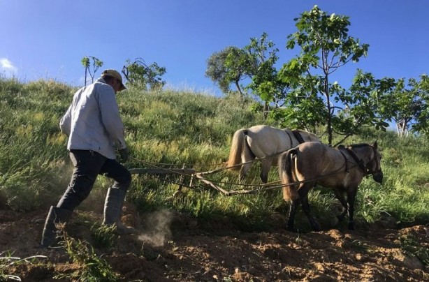 Foto - Günlük kazancı dudak uçuklattı! Gençler beğenmiyor ama para basıyor