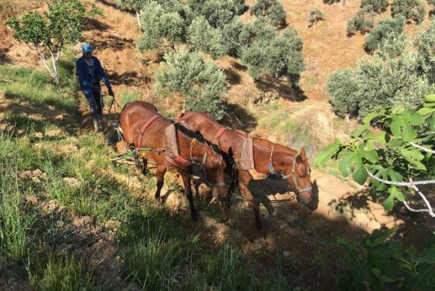 Foto - Günlük kazancı dudak uçuklattı! Gençler beğenmiyor ama para basıyor